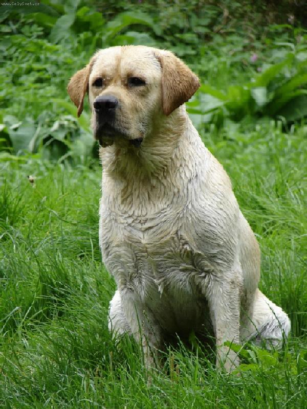 Foto: Banýsek-Banýsek u vody