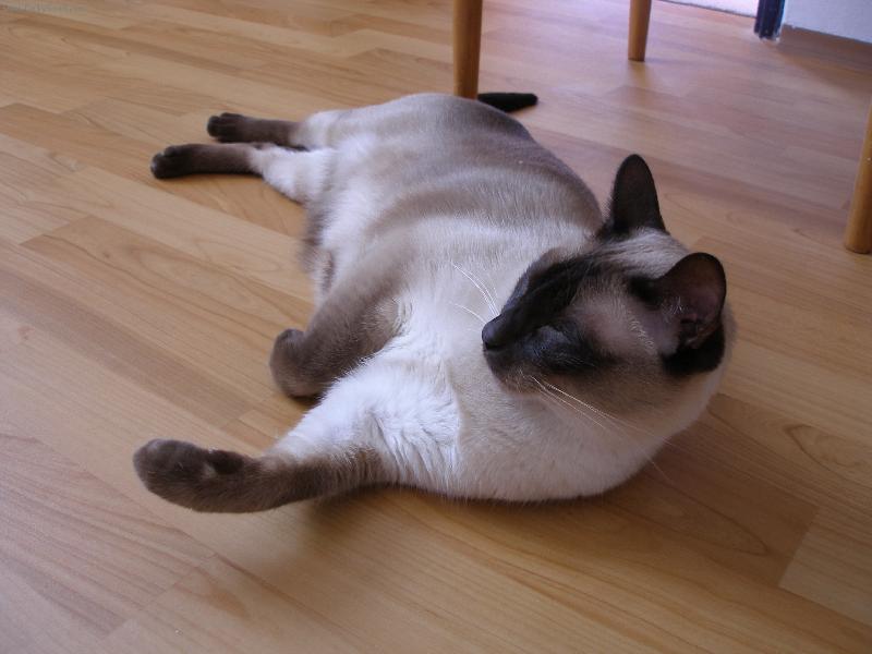 Foto: Filípek-sladké nicnedělání