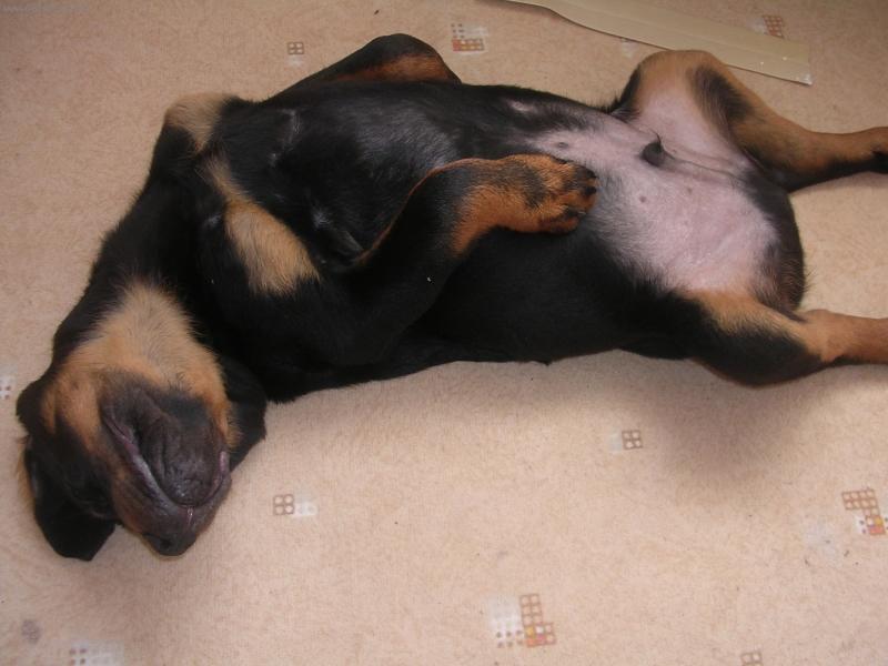 Foto: Max-Maxík spinká !!!