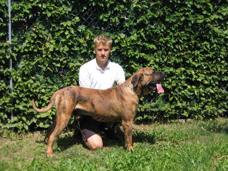 Foto: Keno Chamjan-Toto je náš,na fotce ješte 14-ti měsíční,pes...