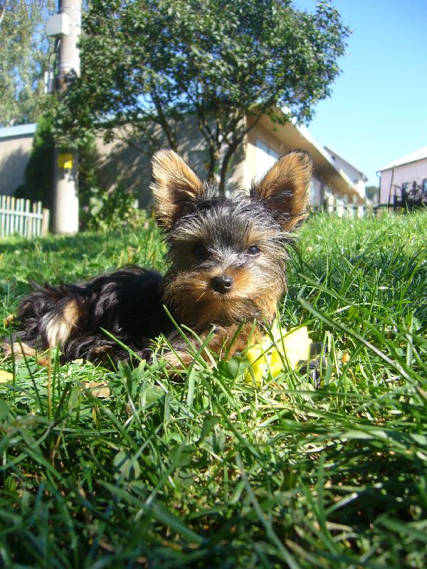 Foto: pohodička na sluníčku :o)