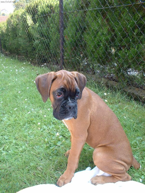 Foto: Barbra-Bonnie-Miláček