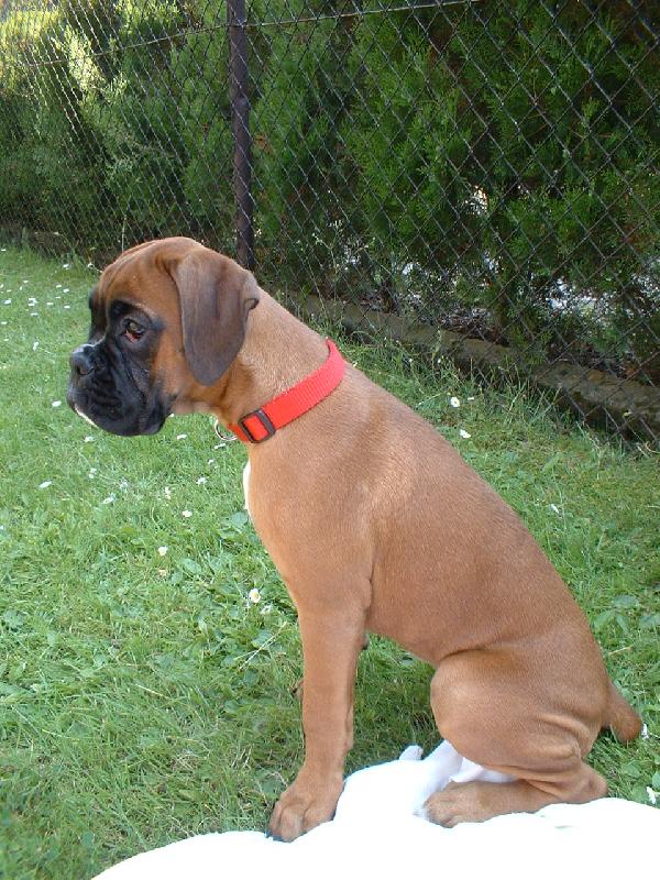 Foto: Barbra-Bonnie-Zlatíčko