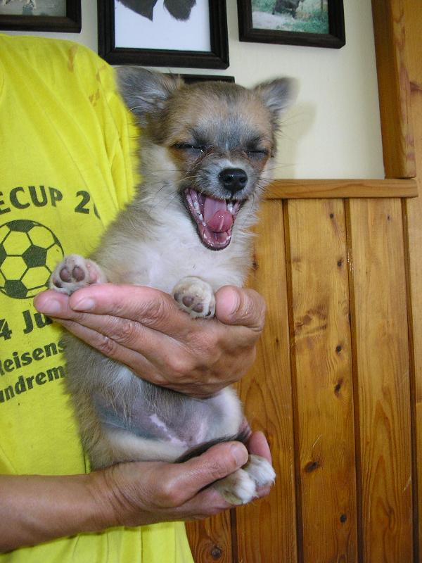 Foto: Sýýýýýýýýr