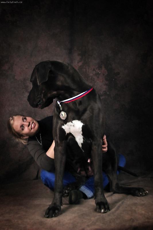 Foto: gemminka v akcii