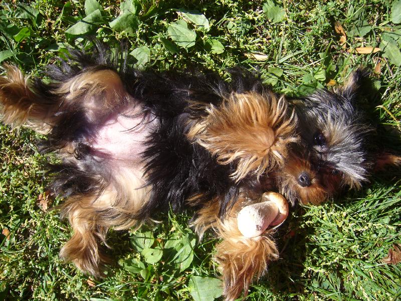 Foto: tak podrbe mě někdo na bříšku???