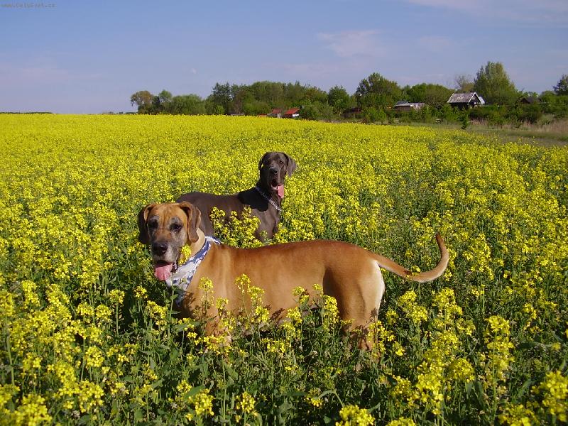 Foto: kámošky-Eliška s Arwen