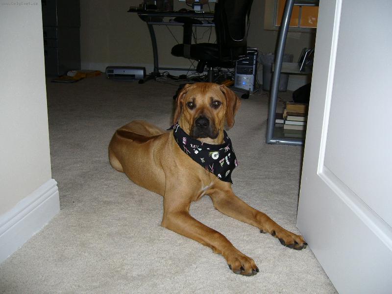 Foto: Moj Poklad-Kamarati aj ja patrim k vam......