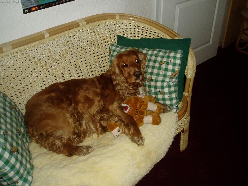 Foto: Elinka-Dom�c� pohodl��ko