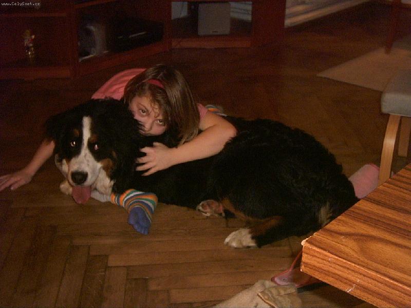 Foto: naši pejskové-někdy nevím, která je ta pravá