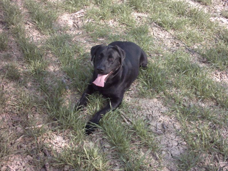 Foto: Sandy-na procházce....