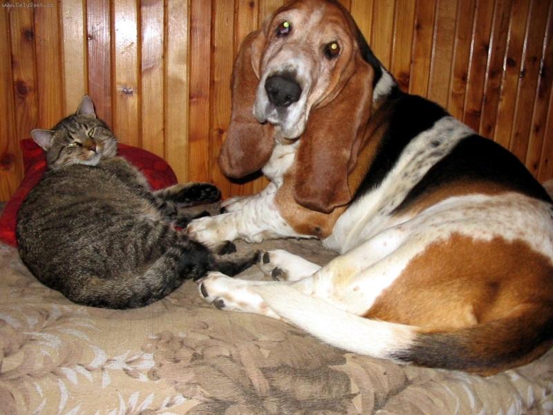 Foto: baron-má rád všechny:-)