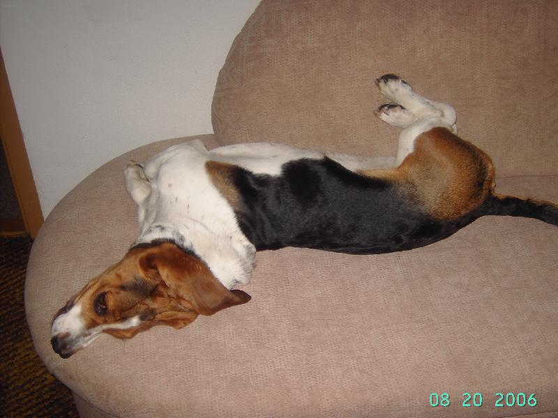 Foto: Kačenka-Takhle si hovím