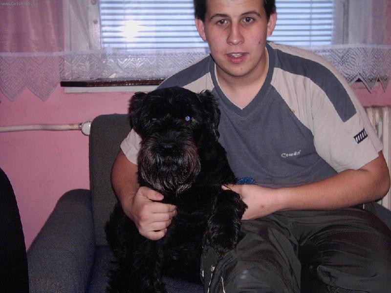 Foto: Pozor, vyletí ptáček