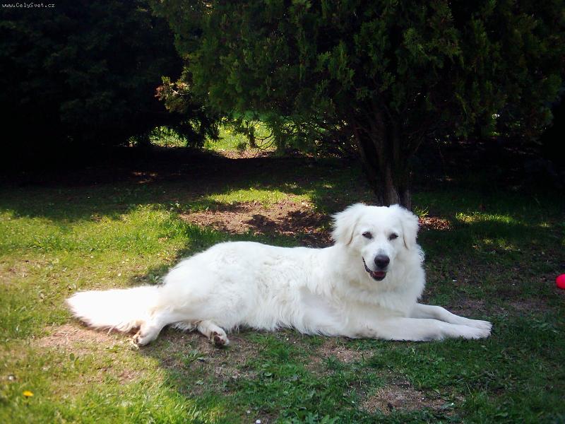 Foto: Maličká nám roste