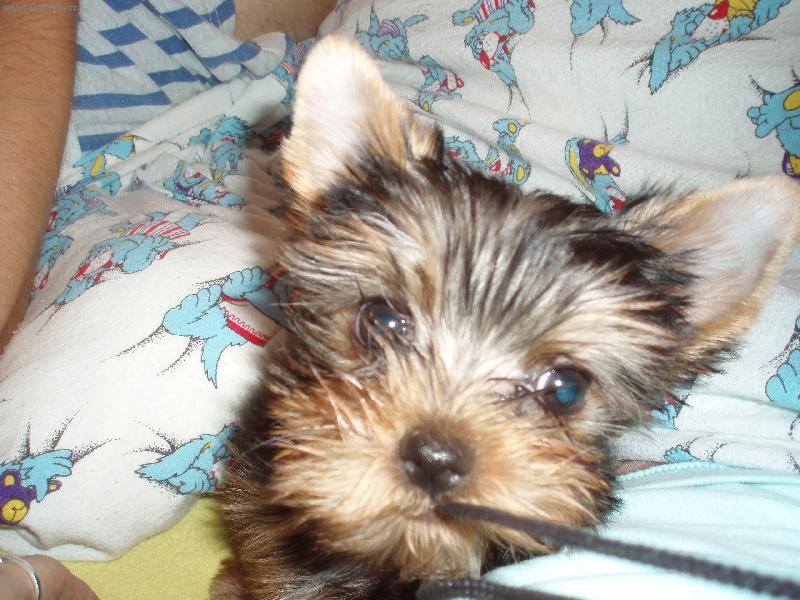 Foto: cocinka-tak to sem já