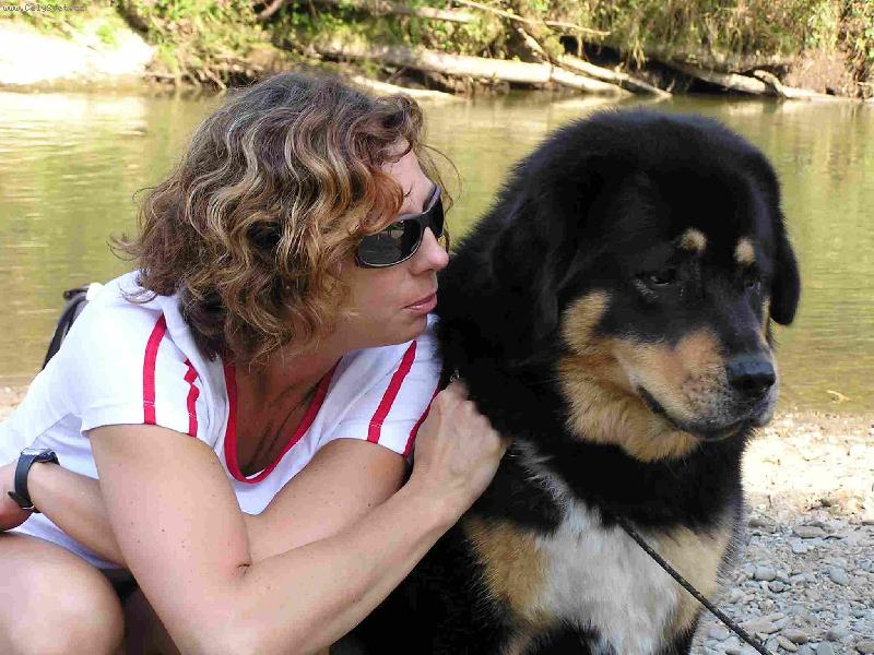 Foto: Pes nebo medvěd ?