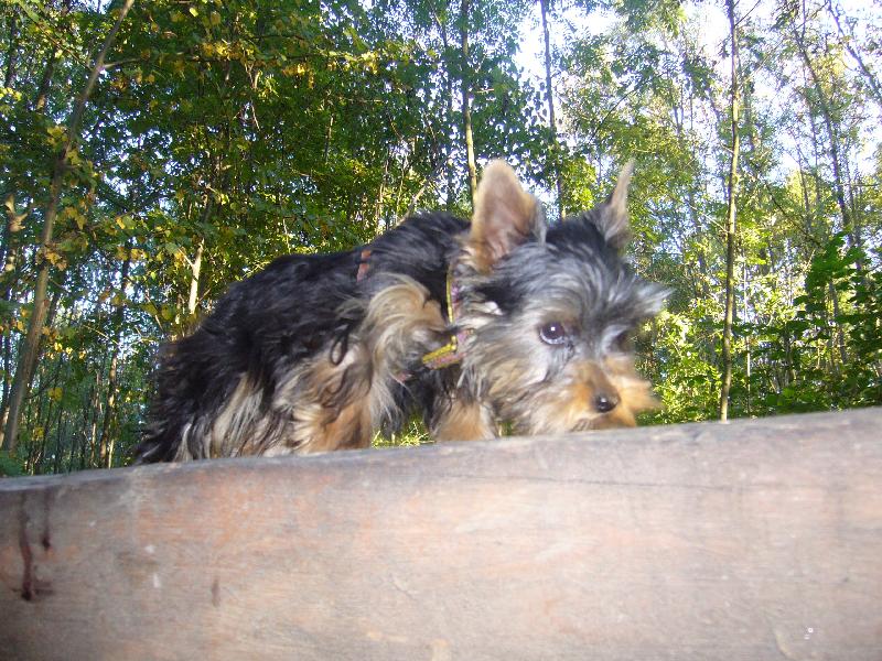 Foto: hmm pěkné....