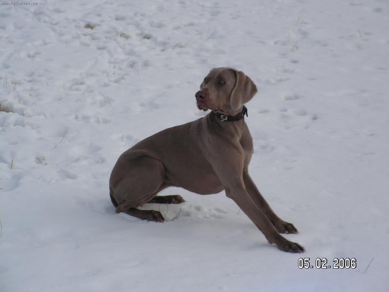 Foto: Dolly-Daun??? Vždyť to zebe!!!