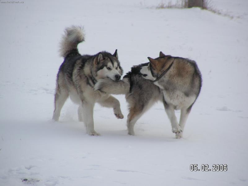 Foto: Z Kováňské tvrze-Aúúú To bolí!!!