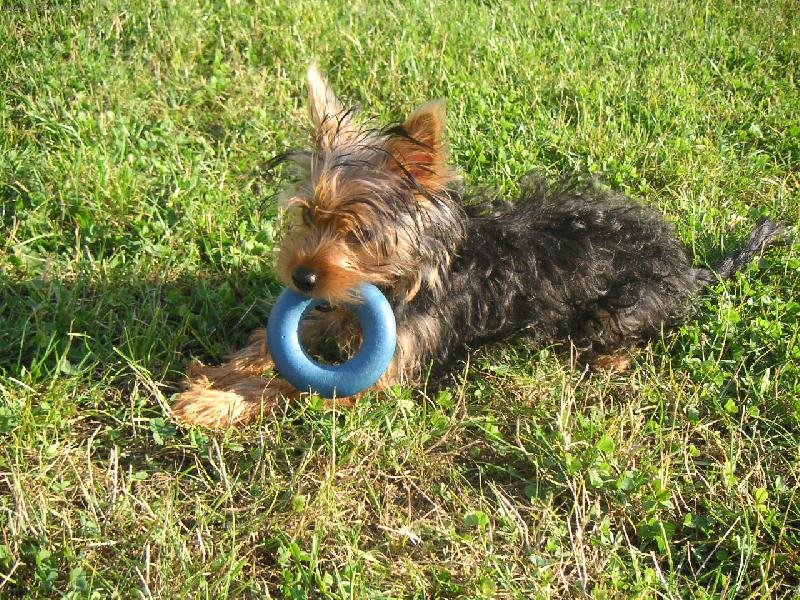 Foto: Maciny s kolečkem-Maxime