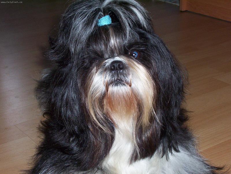 Foto: Co mě otravuješ, když se kochám