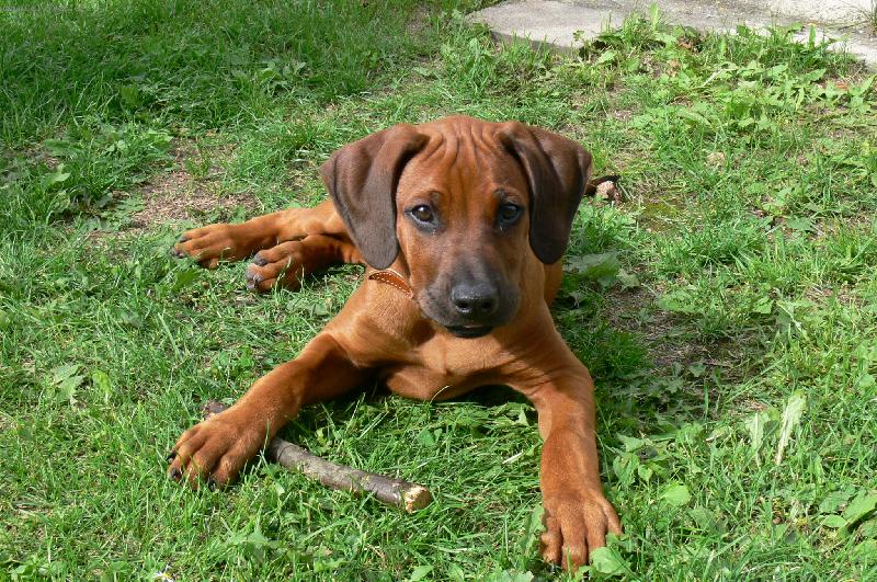 Foto: A stále Banty ...