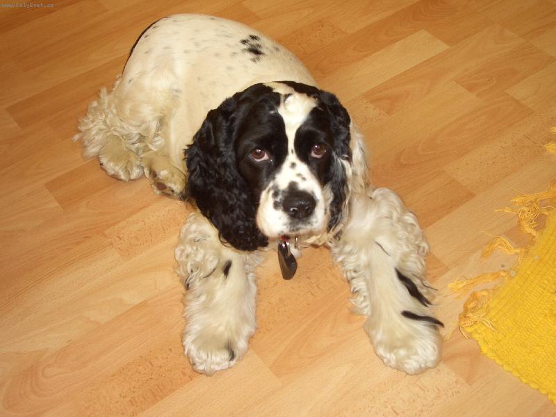 Foto: odpočívám:-)