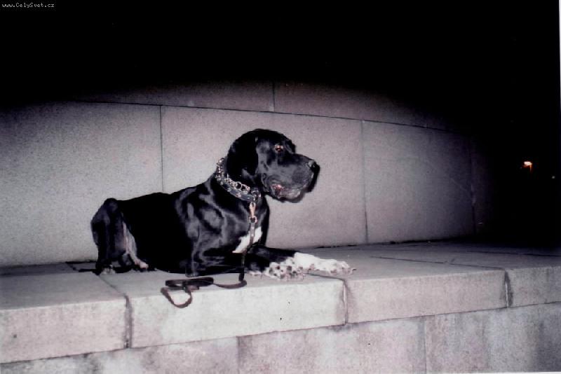 Foto: DANTE Český Sirius