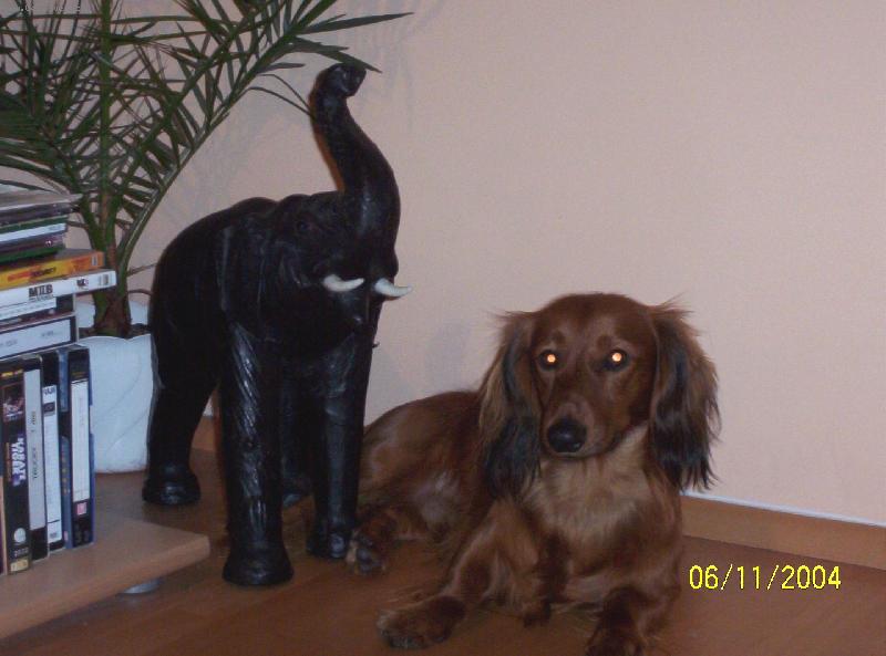 Foto: Maxíček-Já a můj kamarád