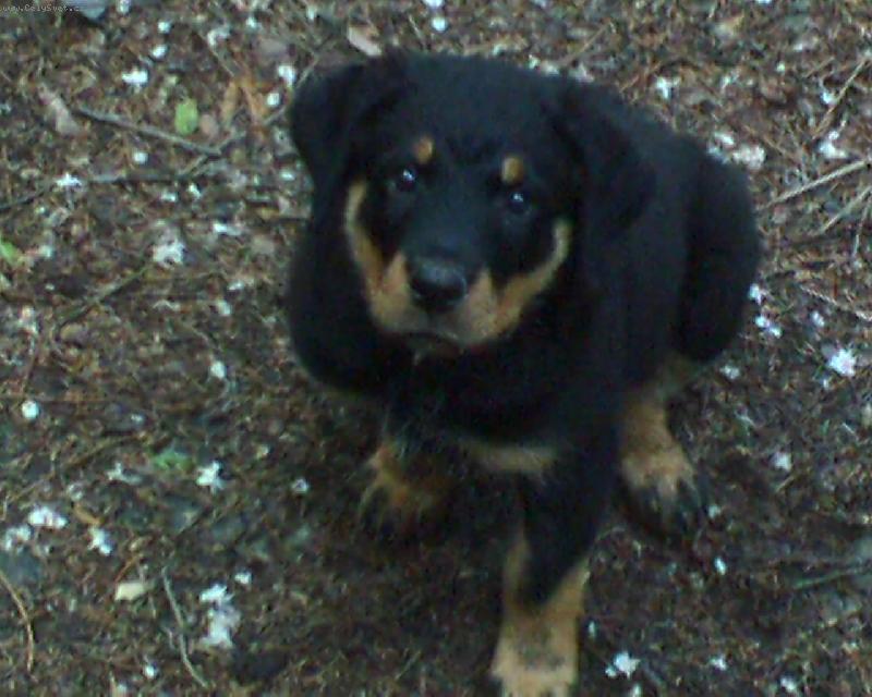 Foto: Butkýsek-To jsem byl ještě malinkej medvídek...