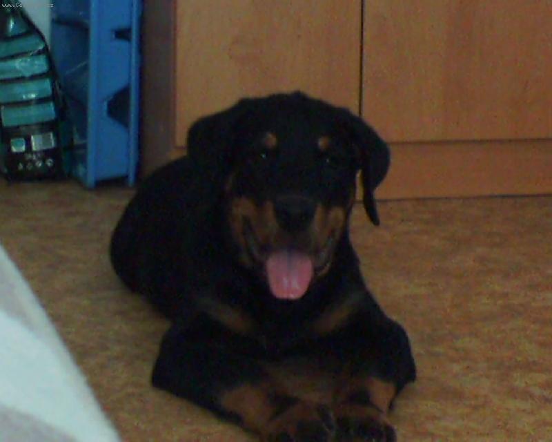 Foto: Butkýsek-Úsměv