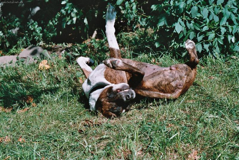 Foto: Sluneční lázeň