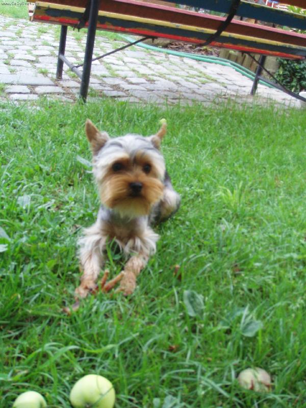 Foto: Terinka.-Kuk na páníčky!