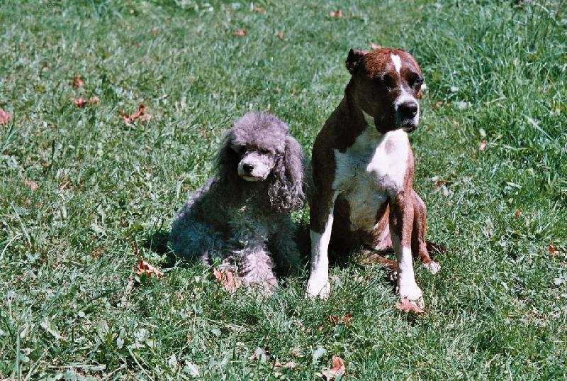 Foto: Podzimní siesta