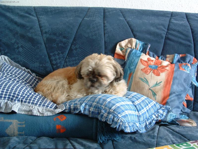 Foto: FERDA-POHODIČKA