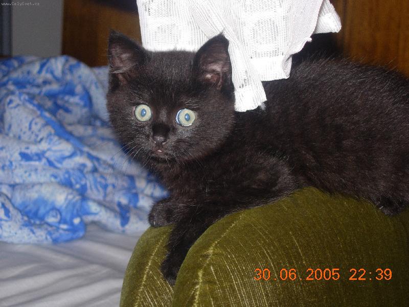 Foto: Náš Luciášek