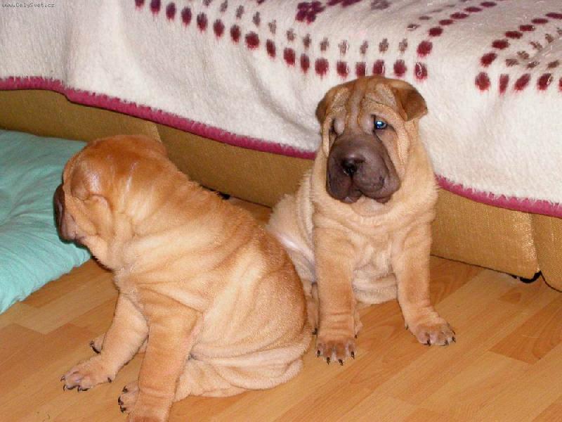 Foto: 8.týden - za chvíli půjdeme do světa