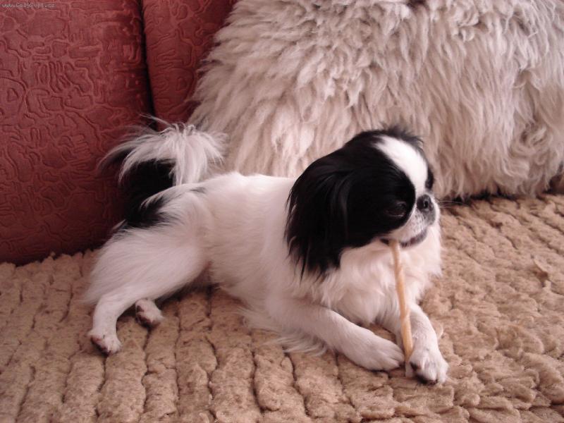 Foto: Cameo-hra s kamarádkou