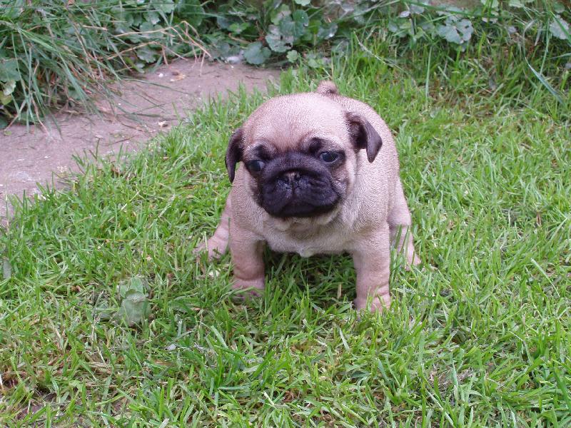 Foto: Naše zlatíčko