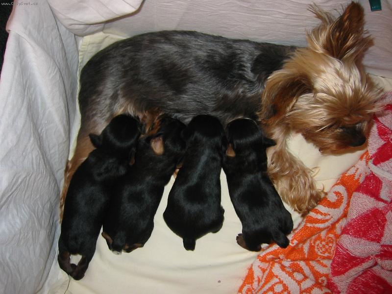 Foto: mamka a moji bráškové a ségra