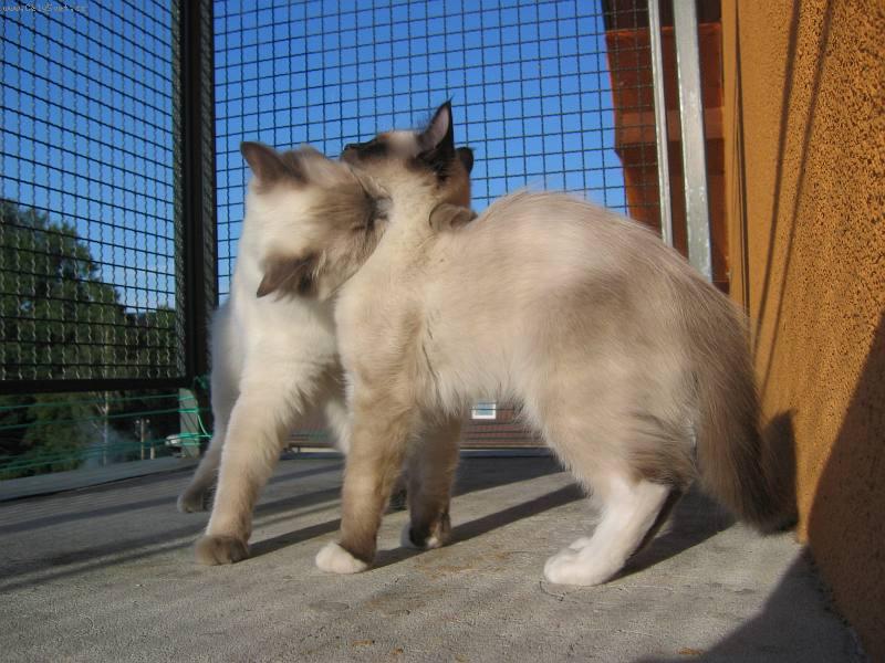 Foto: Láska k sežrání-Láska k sežrání