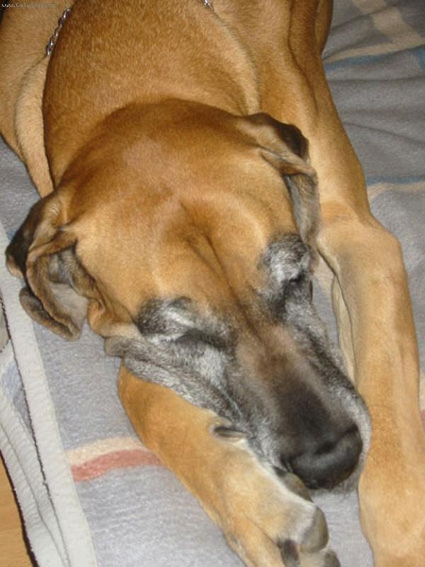 Foto: Vikinka-takhle se u nás spinká