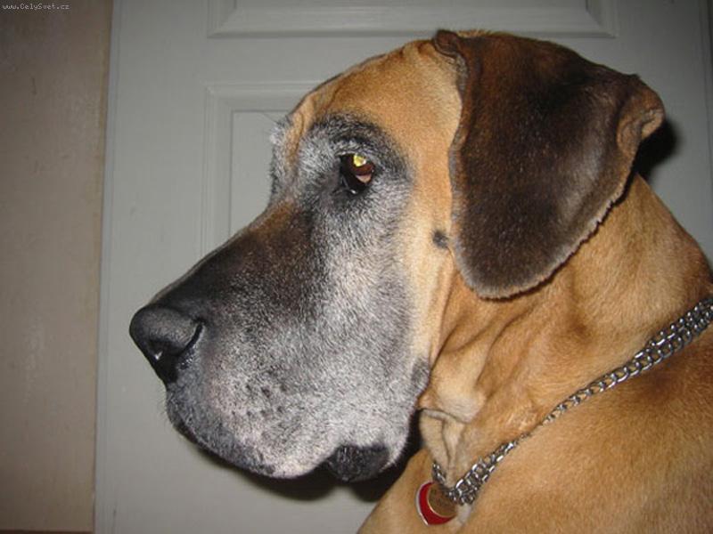 Foto: Vikinka-Vikinka v plném očekávání co bude ...