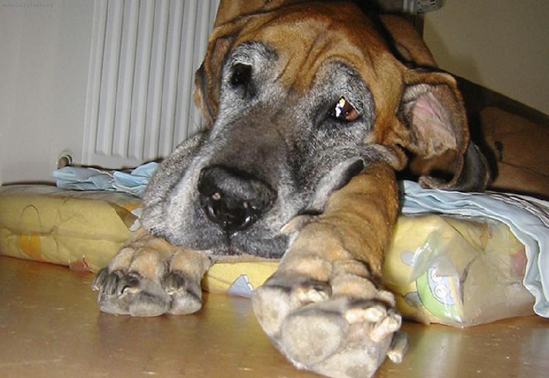 Foto: Vikinka-trošku jiný pohled na svět ...