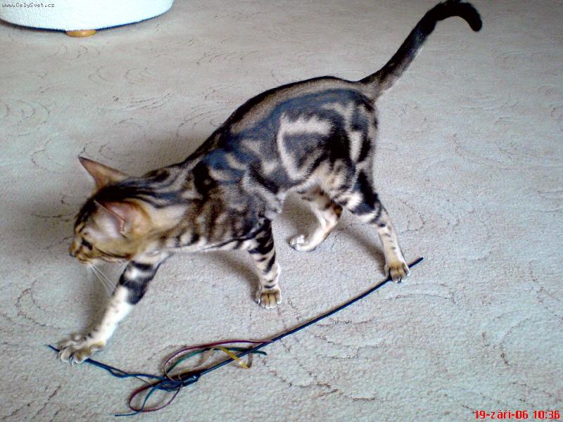 Foto: skoumání-skoumání