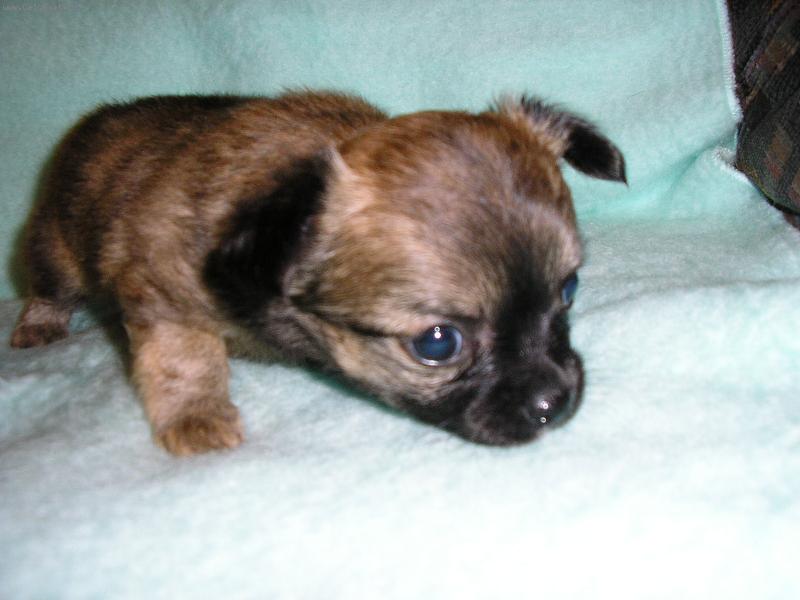 Foto: Malá Ygrein-já chci zase k mámě !!!