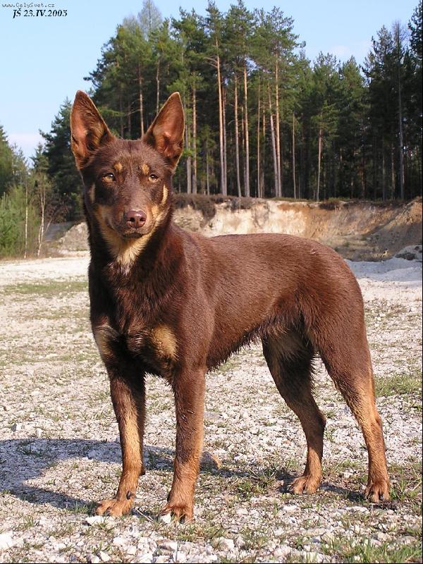 Foto: Braya Xapatán