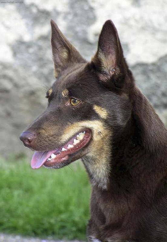 Foto: Braya Xapatán