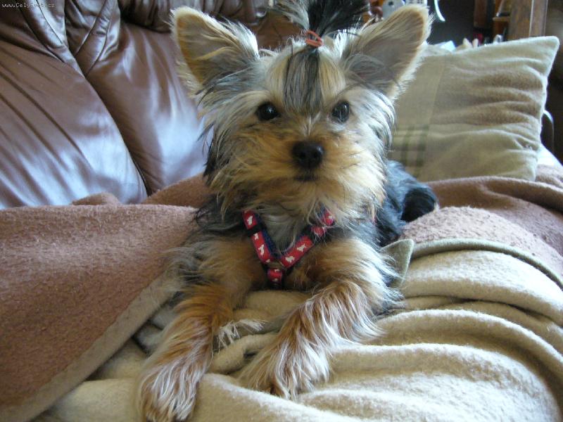 Foto: Ennynka-kukíšek :-)